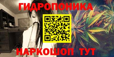 стафф Старая Купавна
